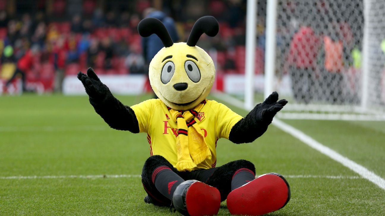 Crystal Palace's Roy Hodgson warns Watford mascot Harry the Hornet to ...