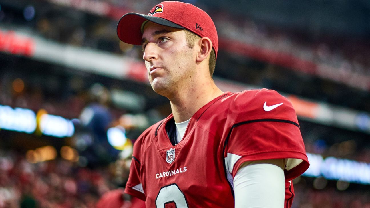 josh rosen cardinals jersey