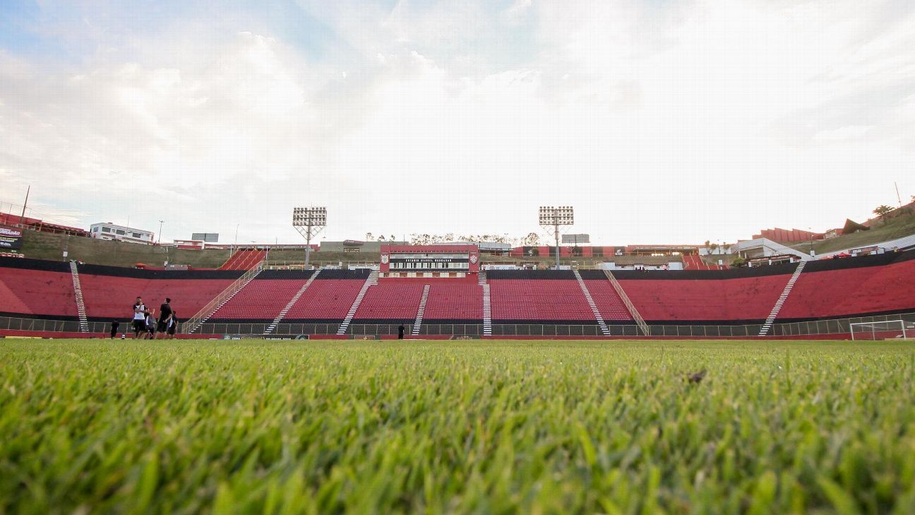 Vitória x Palmeiras: onde assistir, horário e escalações do jogo do Brasileirão