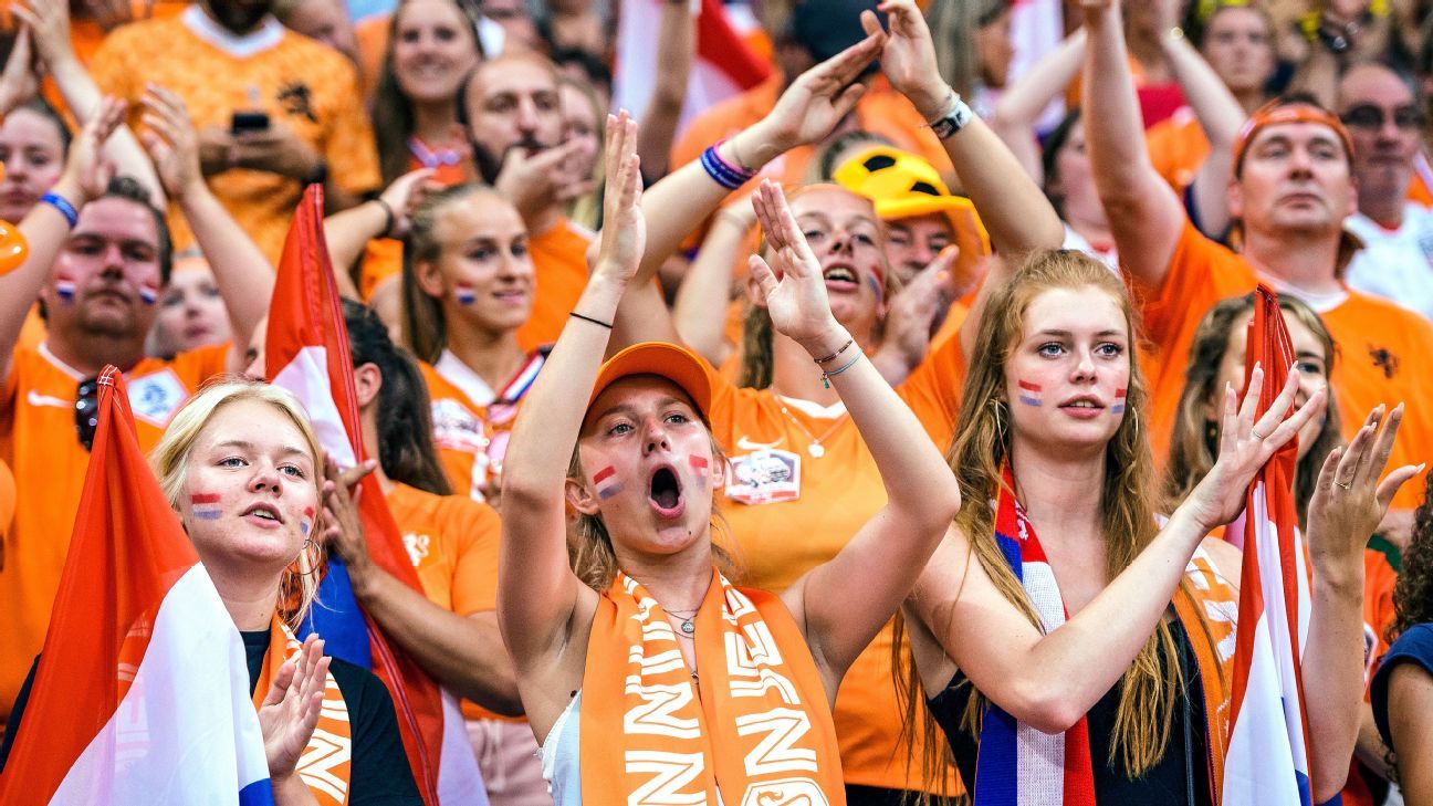 Crowd celebrating Netherland's win