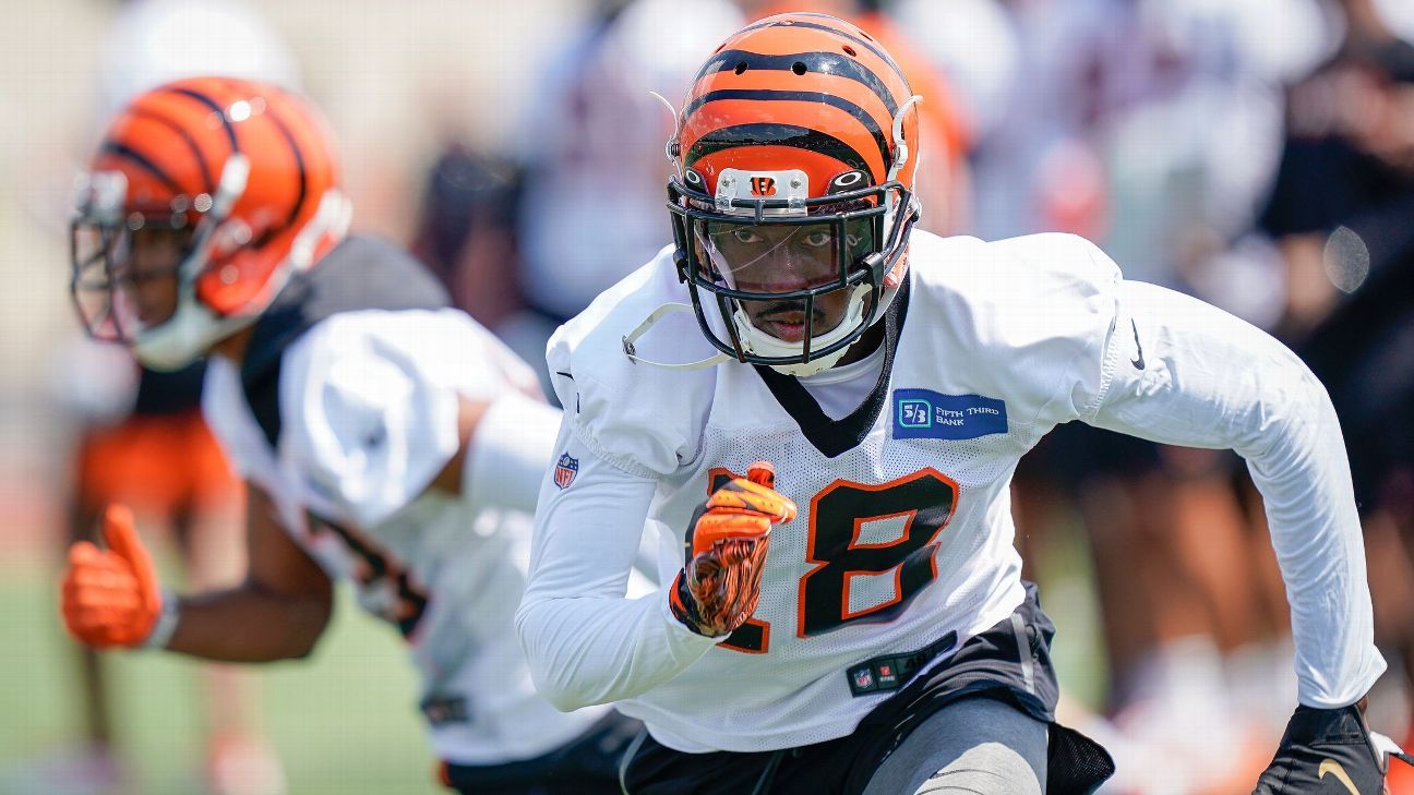 Bengals WR Green likely to miss multiple games ESPN