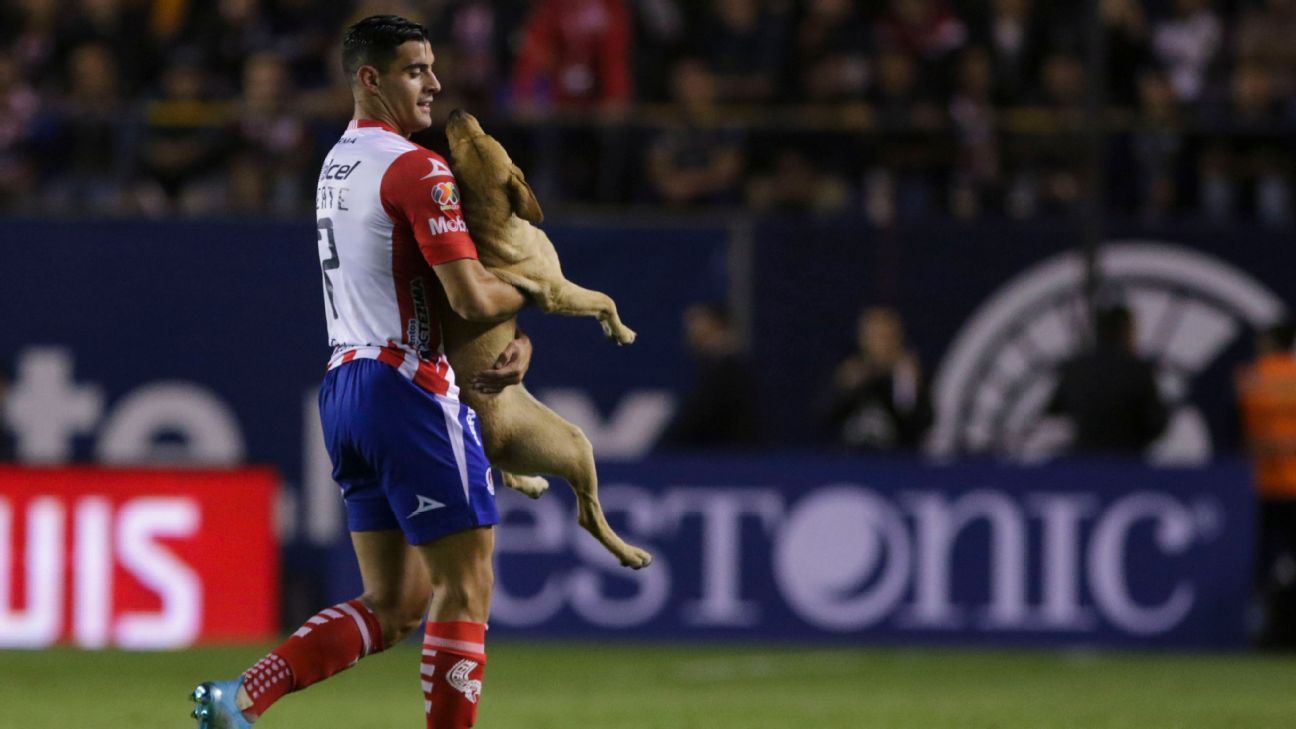 Atlético San Luis encuentra a 'Tunita',