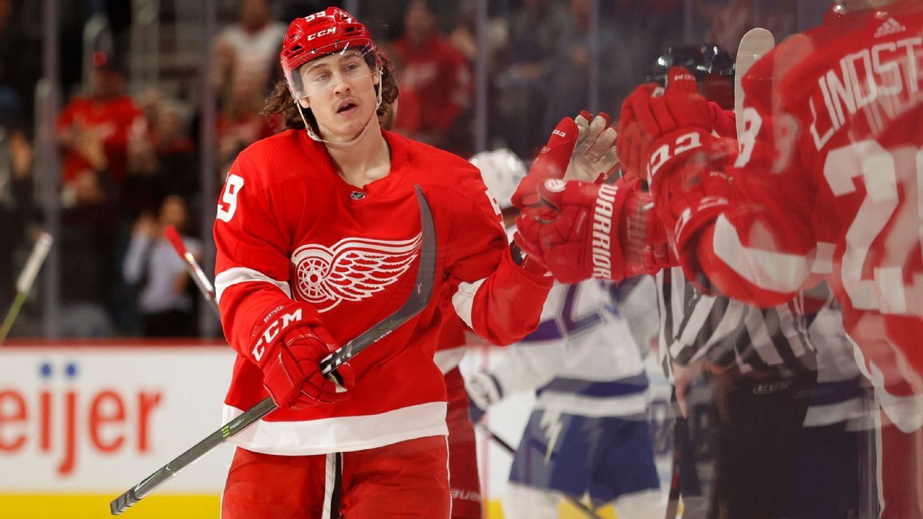 Detroit Red Wings: Why Tyler Bertuzzi should be the next captain