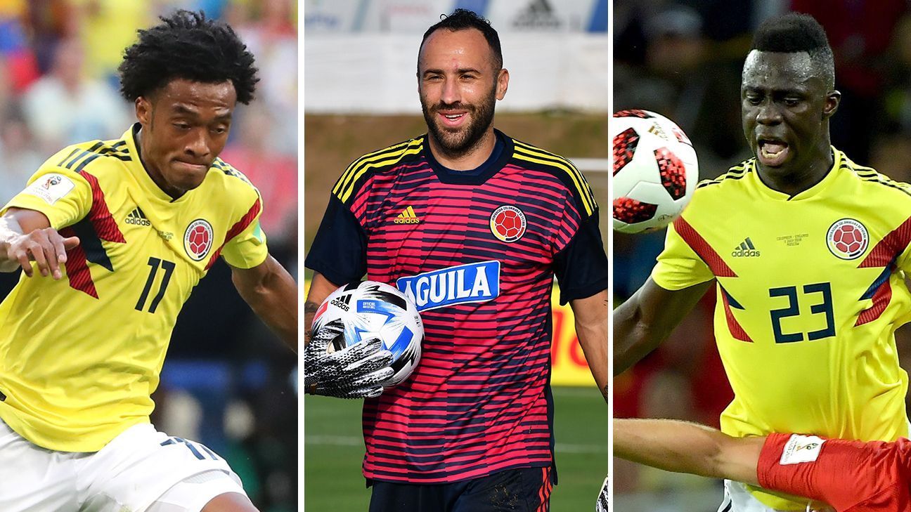 Los convocados de microciclos que llegaron a la Selección ...