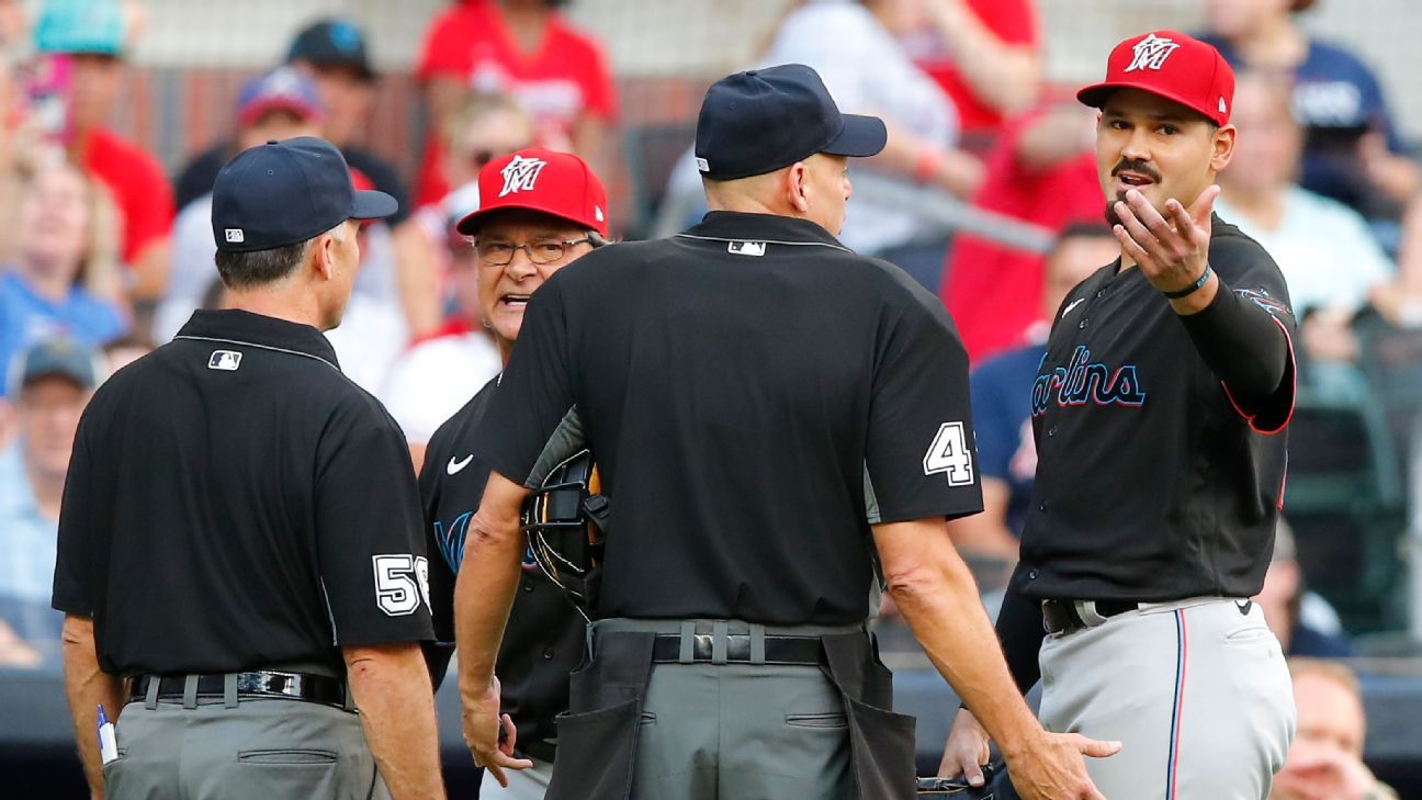 Atlanta Braves left fielder Ronald Acuna Jr. (13) and Braves mascots Blooper  have fun in the dugout before am baseball game against the Miami Marlins  Tuesday, July 31, 2018 in Atlanta. (AP