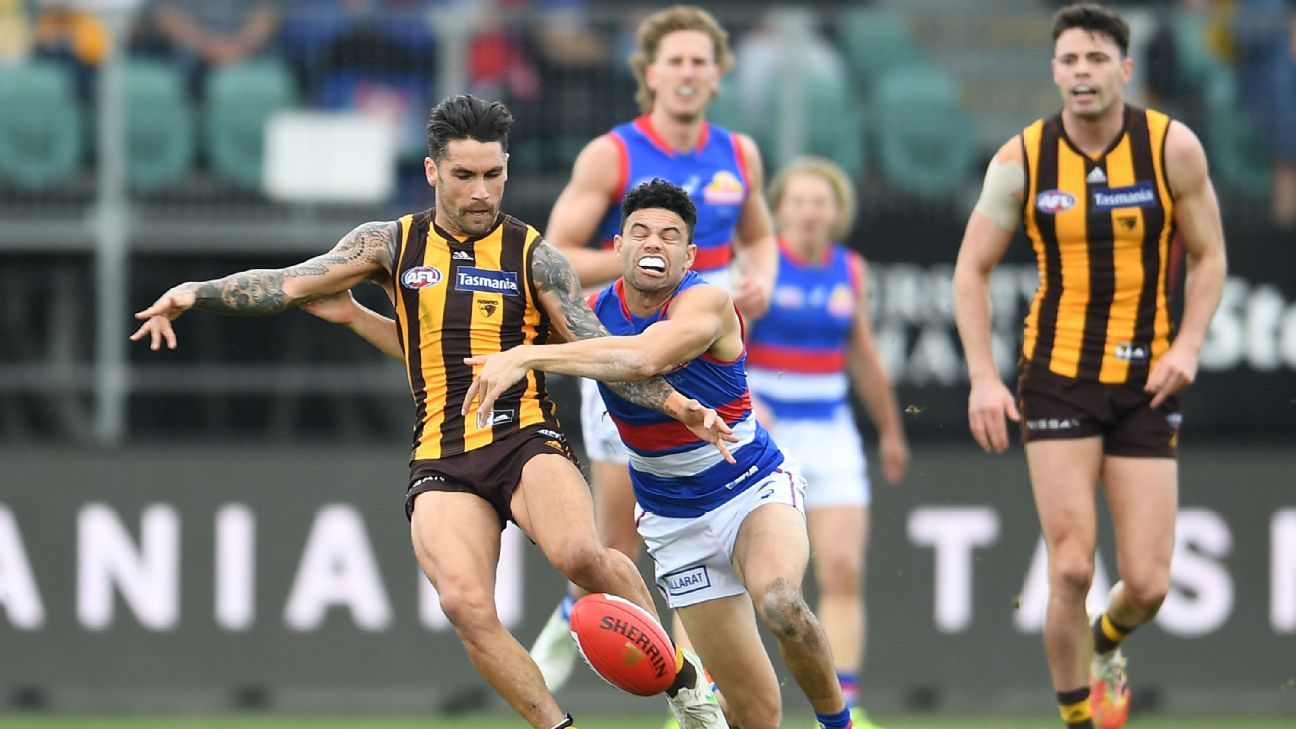 AFL Round 22 Hawthorn Hawks scalp Western Bulldogs in Tasmania - ESPN