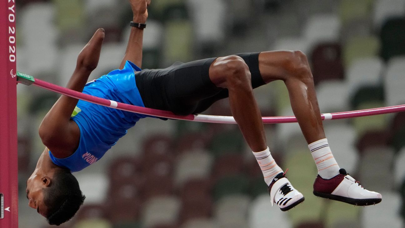 High Jump Pit - Pankaj Sports