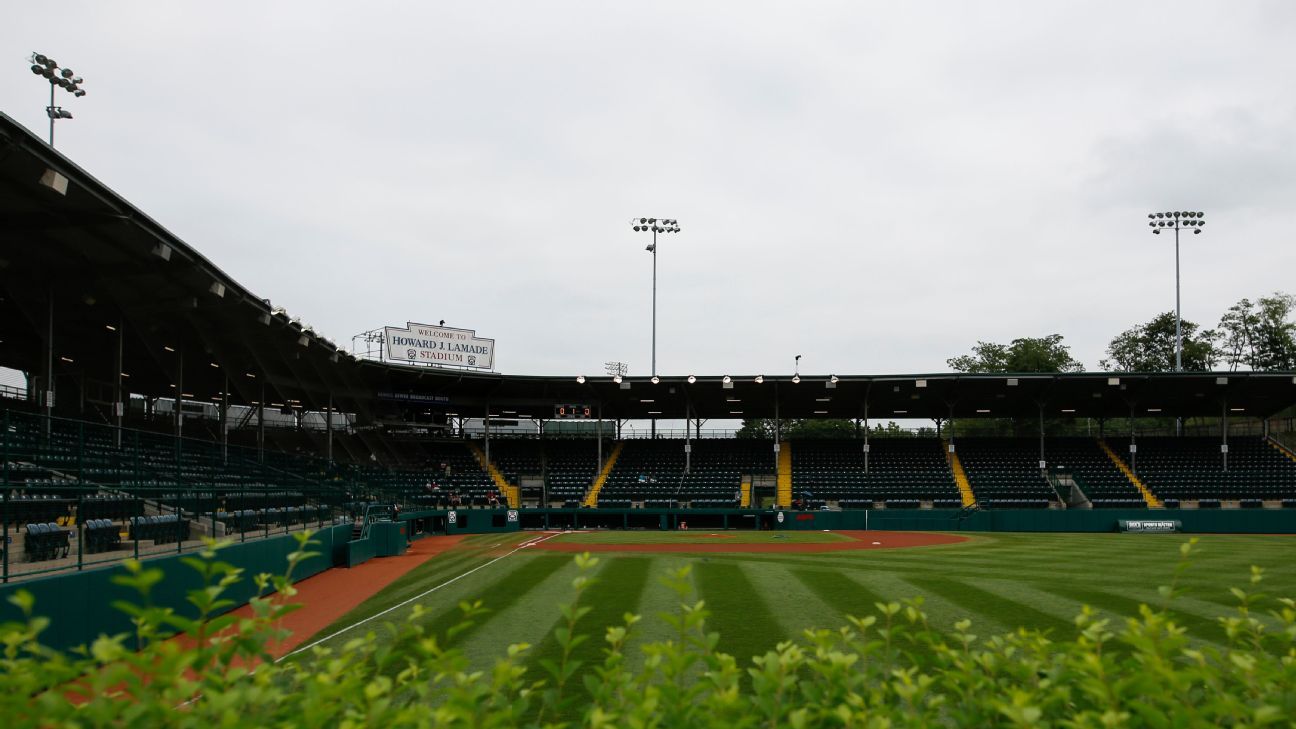 Youth baseball participation rising in America