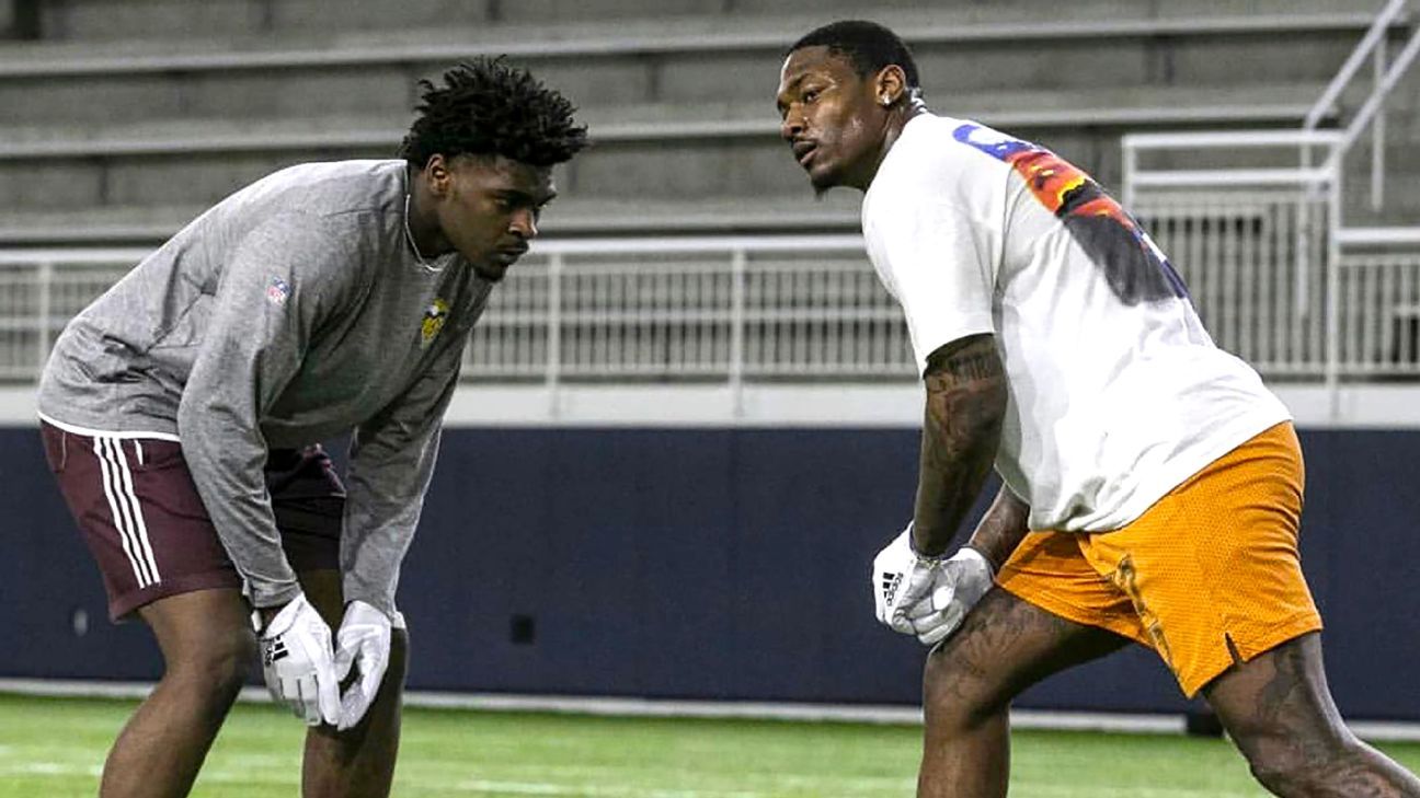 Brothers Stefon and Trevon Diggs push each other to greater heights