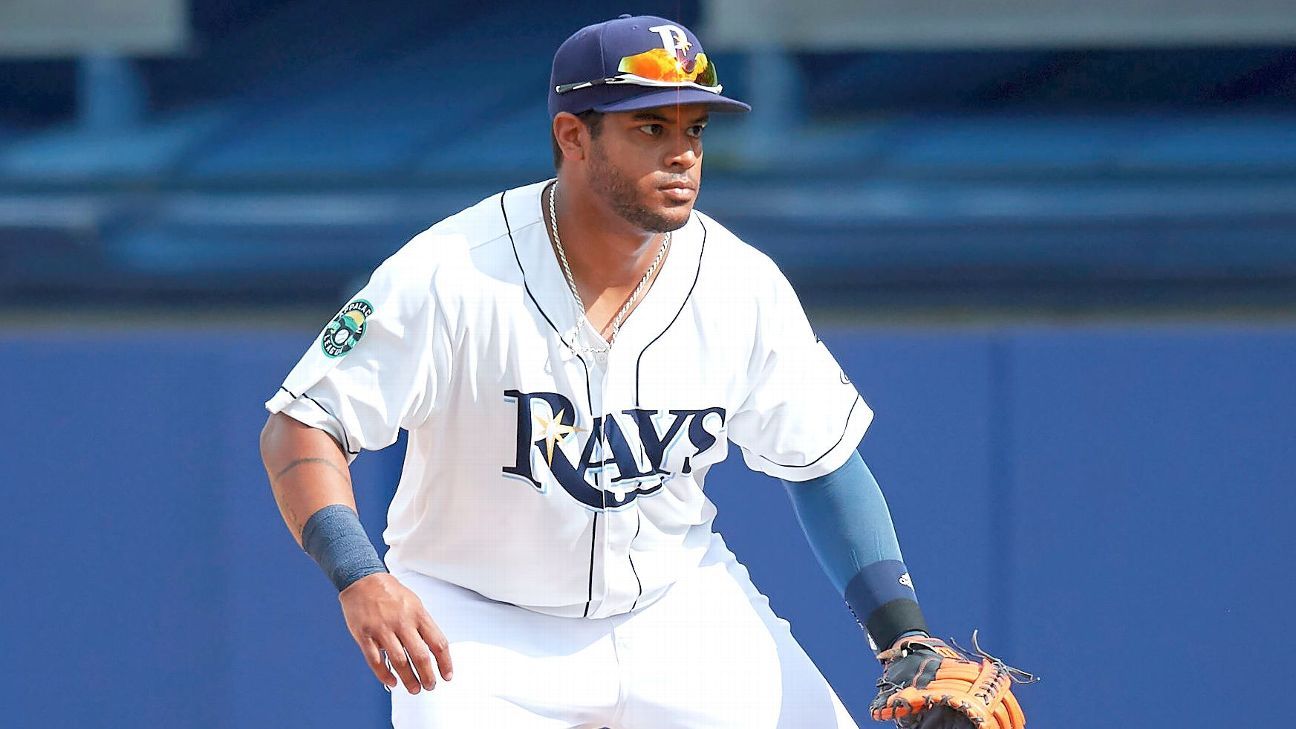 Tampa Bay Rays  Jaspa's Journal