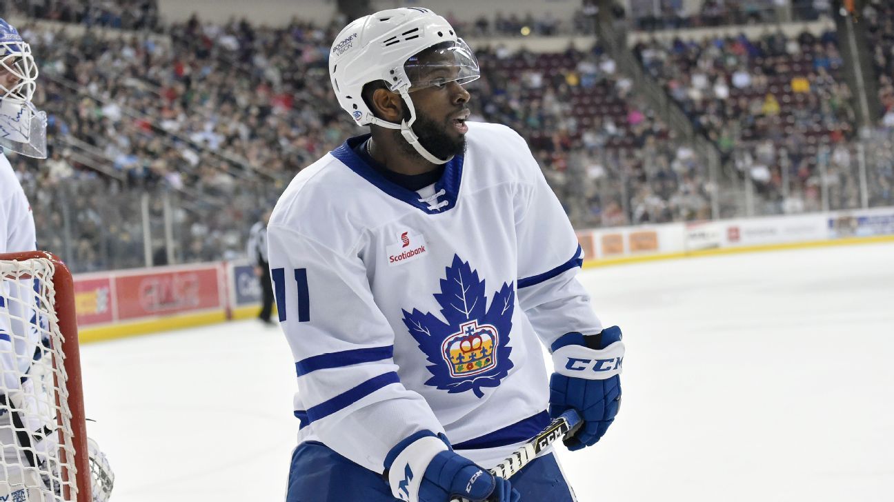 ECHL suspends Jacob Panetta indefinitely, pending hearing, for racist taunt at Jordan Subban