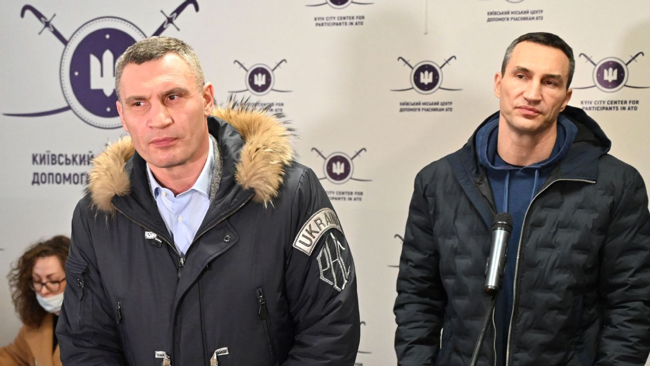 Hall of Fame boxers Vitali, Wladimir Klitschko plan to fight for Ukraine