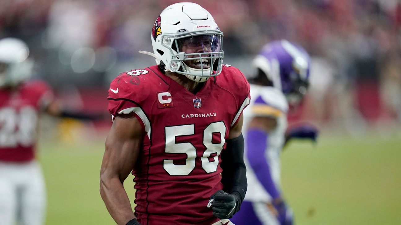 Minnesota Vikings linebacker Jordan Hicks (58) in action during the first  half of an NFL football game against the Arizona Cardinals, Sunday, Oct.  30, 2022 in Minneapolis. (AP Photo/Stacy Bengs Stock Photo - Alamy