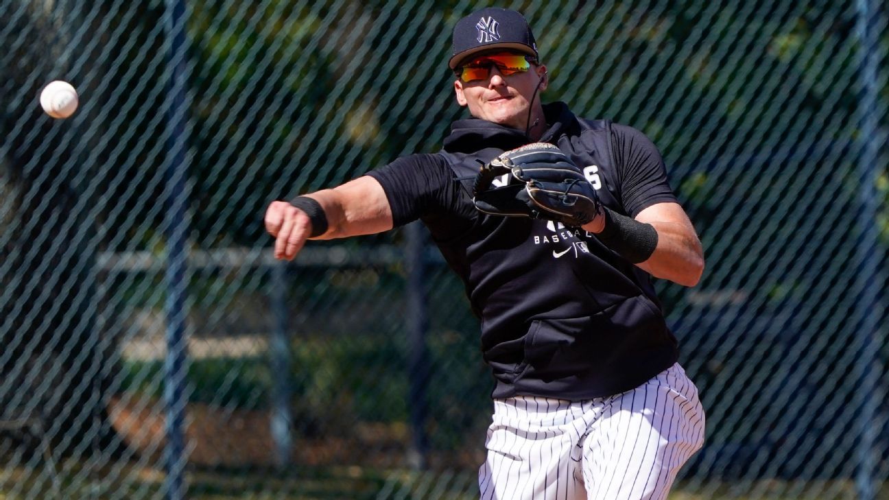 Yankees Third Baseman Josh Donaldson Scheduled for Rehab with Patriots