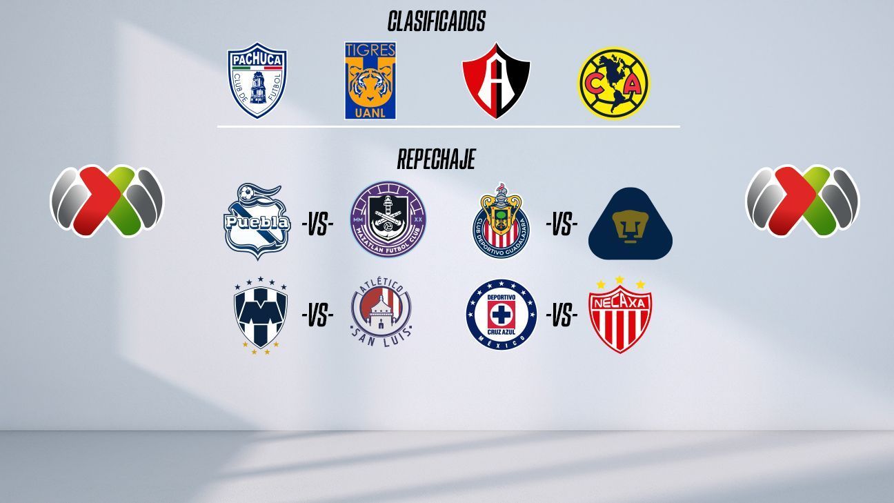 Qué equipos fueron campeones de Liga MX sin calificar de manera