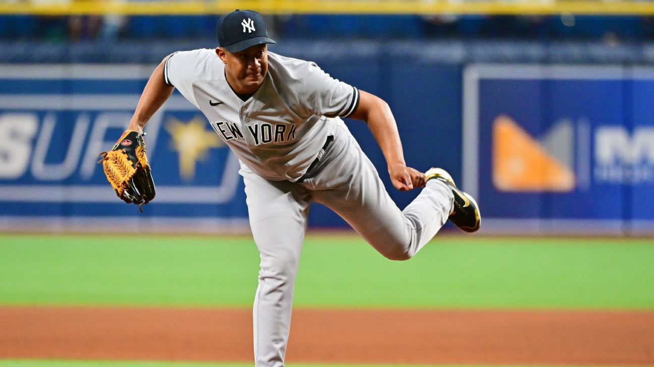 Wandy Peralta Placed on Injured List as New York Yankees Make Roster  Adjustments