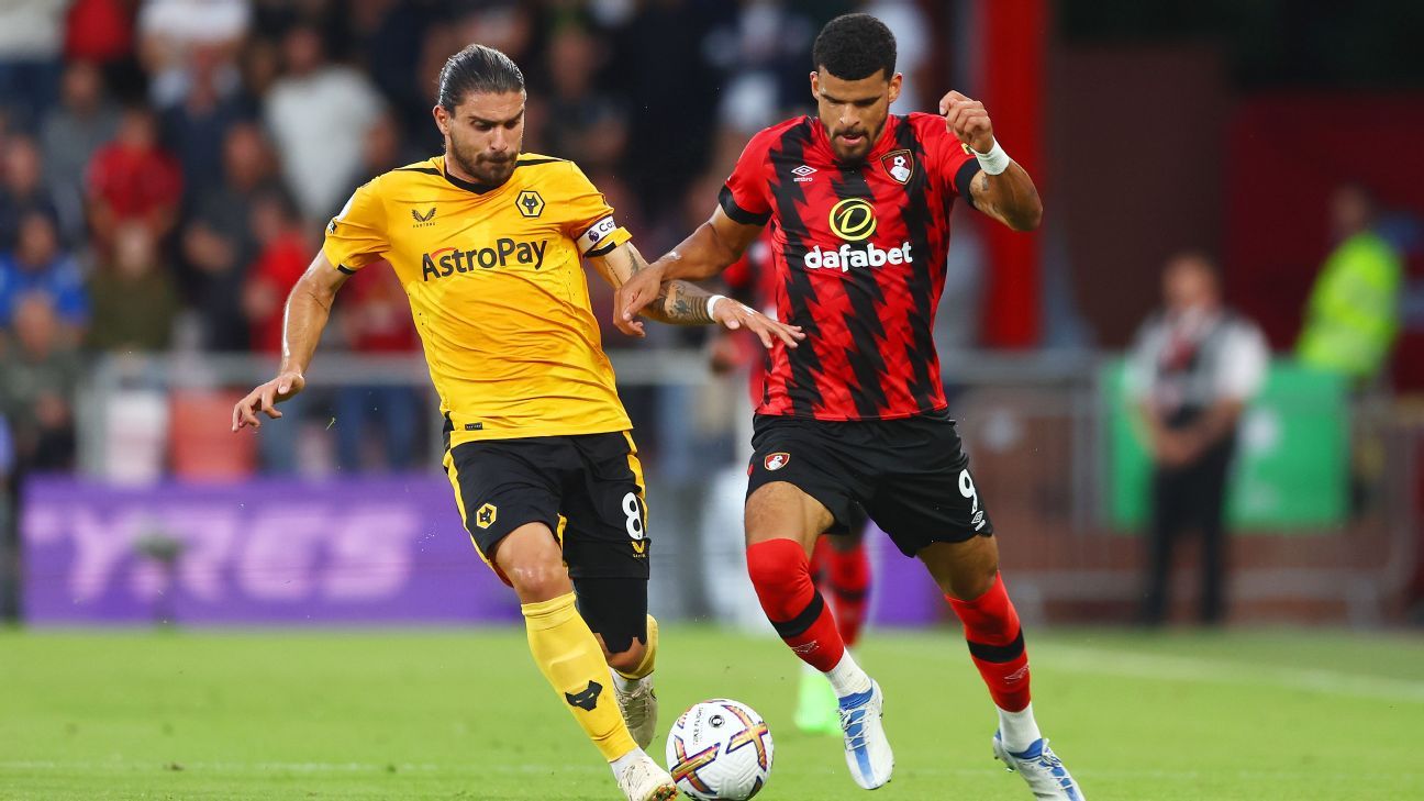 AFC Bournemouth vs. Wolverhampton Wanderers Football Match Report