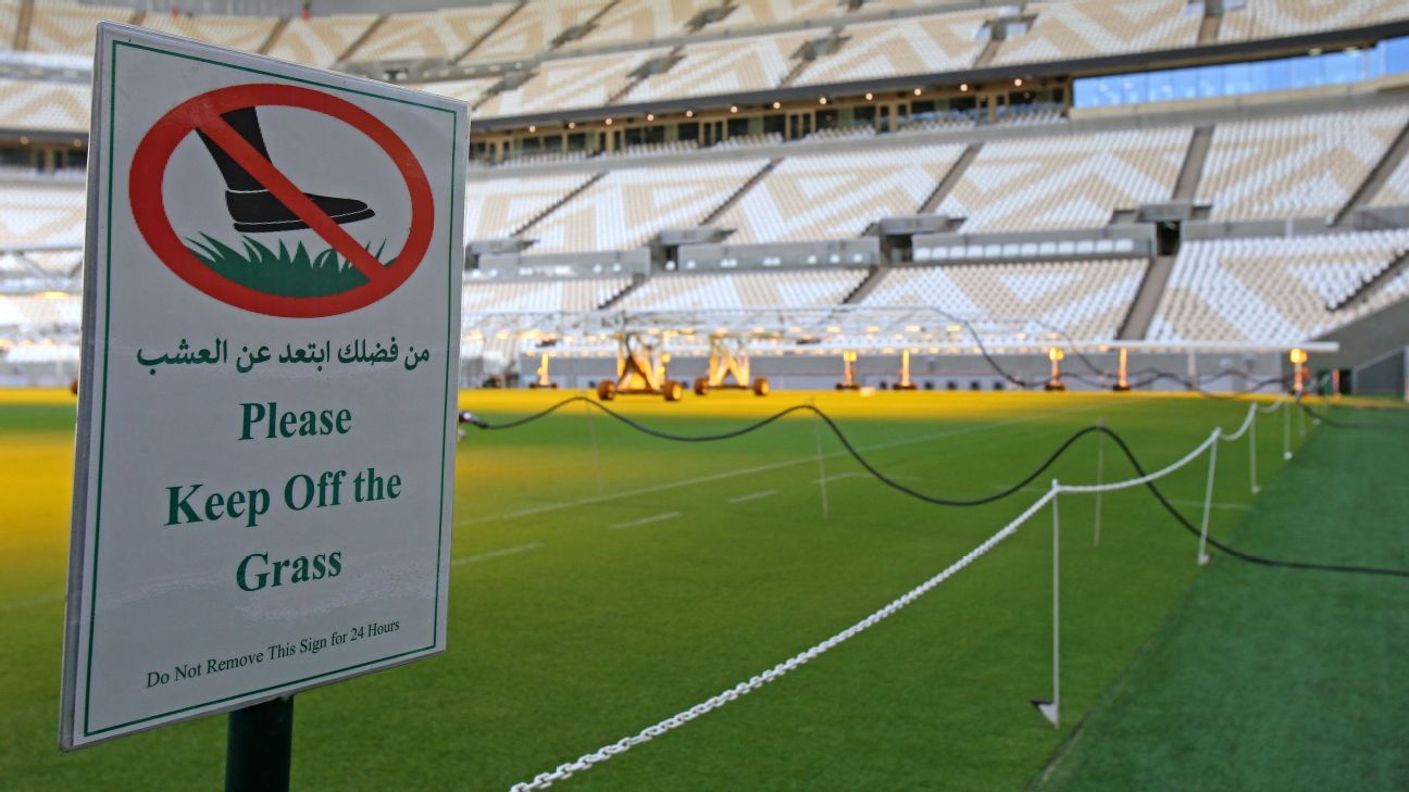 Qatar World Cup's secret ingredient? American grass! PLUS: Pulisic's strained re..