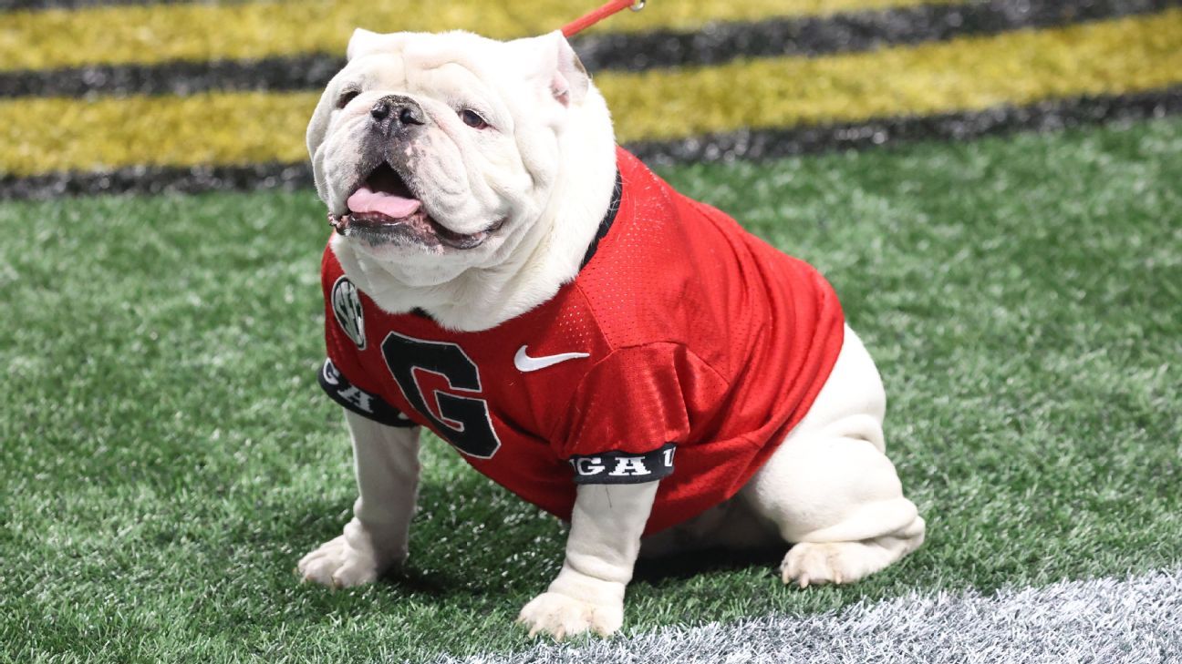 Uga X, winningest mascot in Georgia football history, dies - ESPN