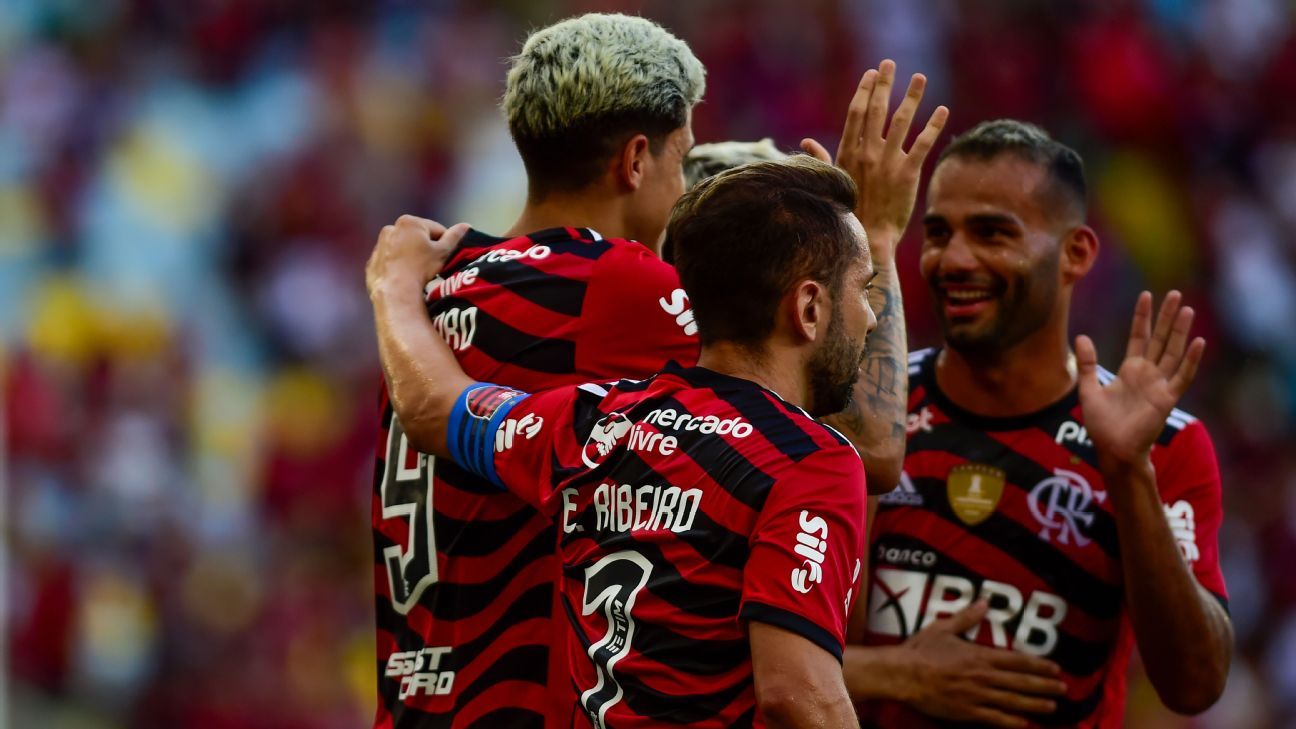 Jogo do Flamengo no Espírito Santo terá cerveja grátis