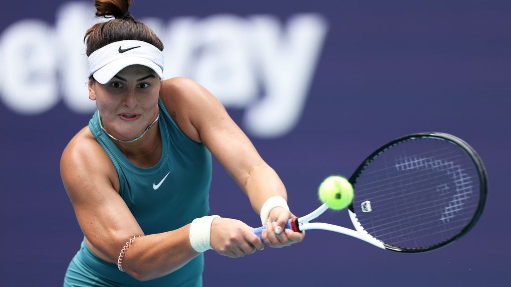 Andreescu out with torn ligaments in left ankle