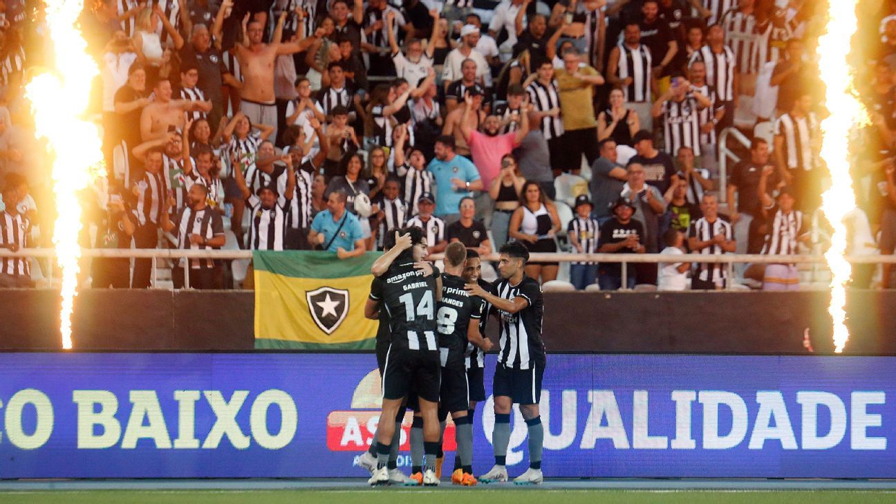 Botafogo vence e segue 100 na liderança do Brasileirão ESPN