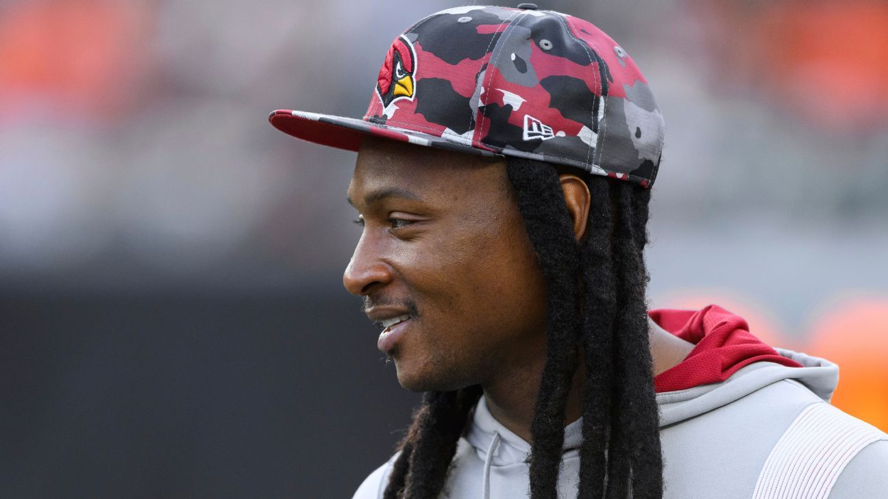 DeAndre Hopkins Reportedly Was Targeted by Patriots in Jamie