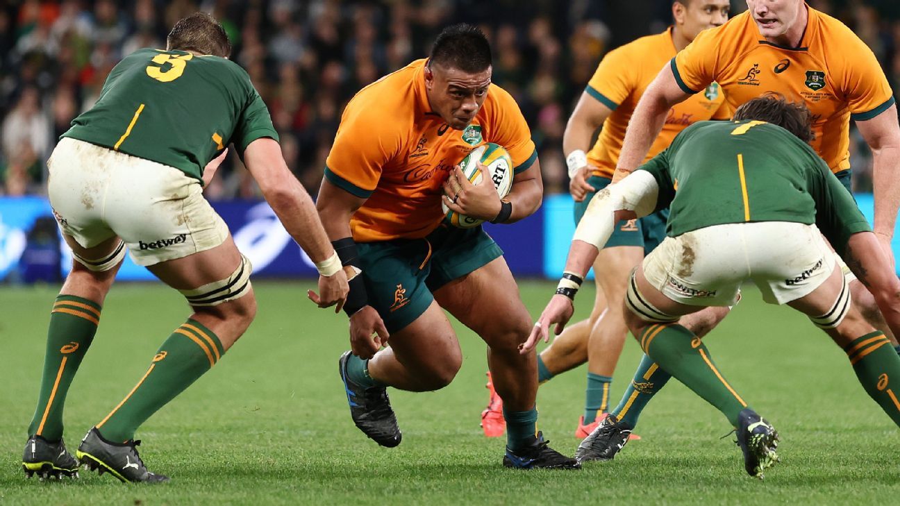 Rugby Championship preview What's at stake for the southern hemisphere