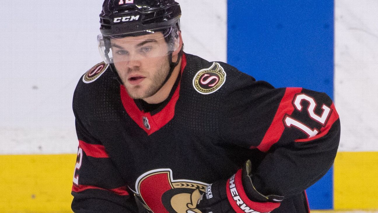 Ottawa Senators bidding war about more than sale price