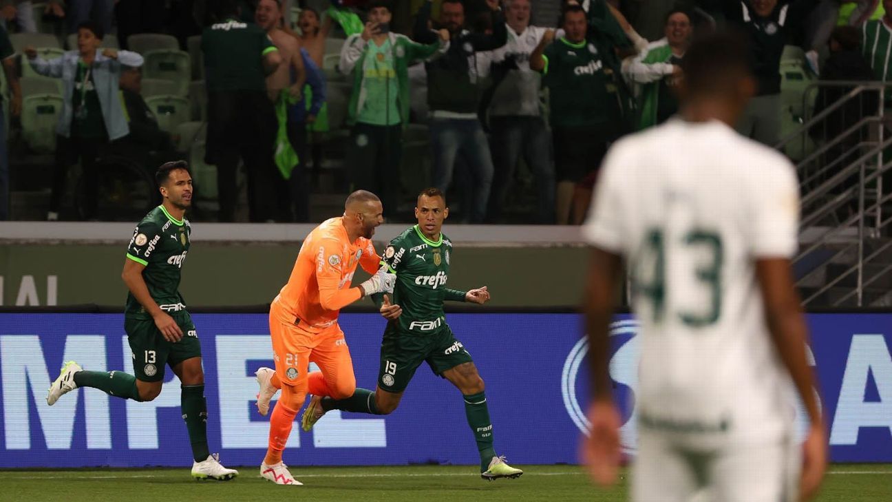 Organizada do Palmeiras diz que comemoração de Breno Lopes foi 