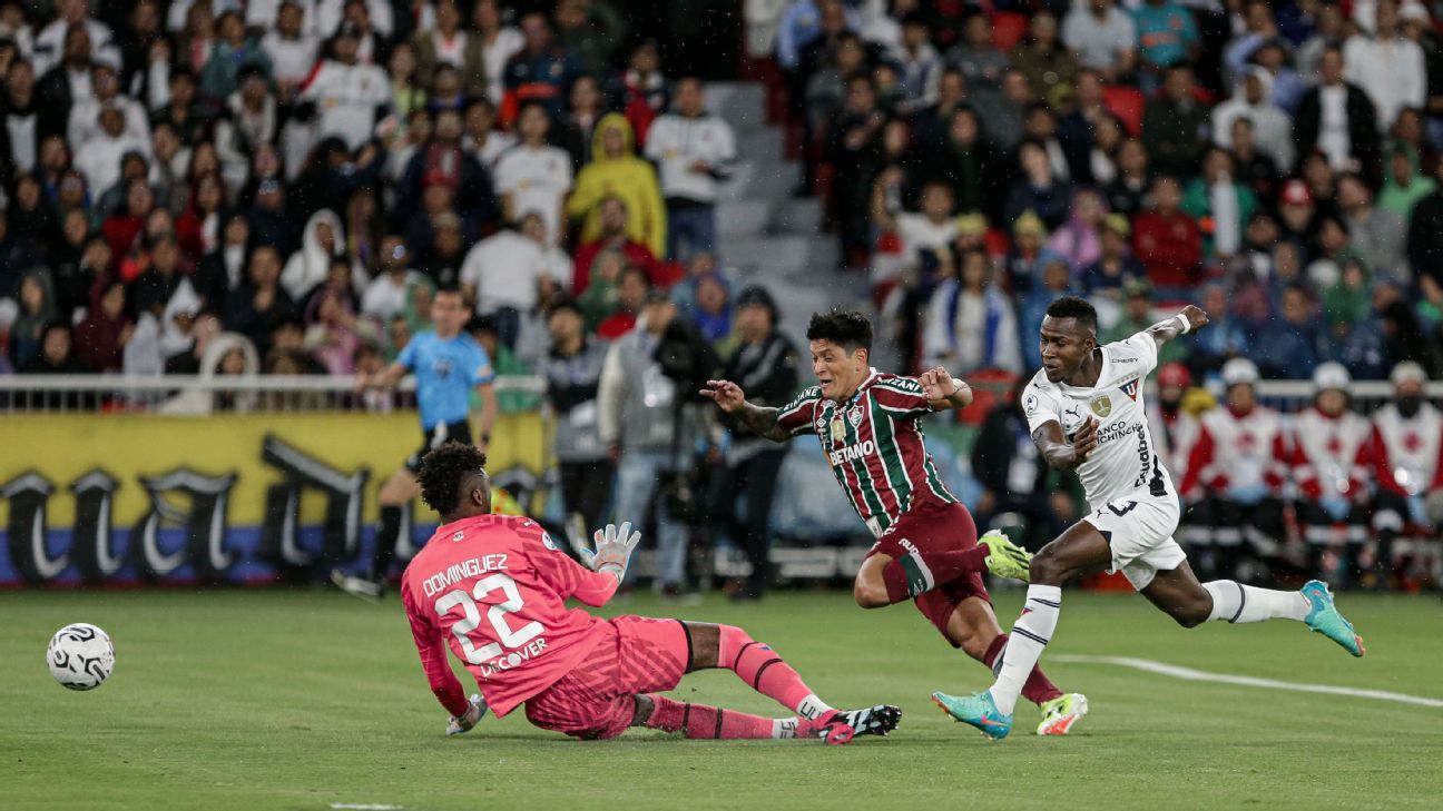 Why will audio not be released for the movement that revolted Fluminense against LDU