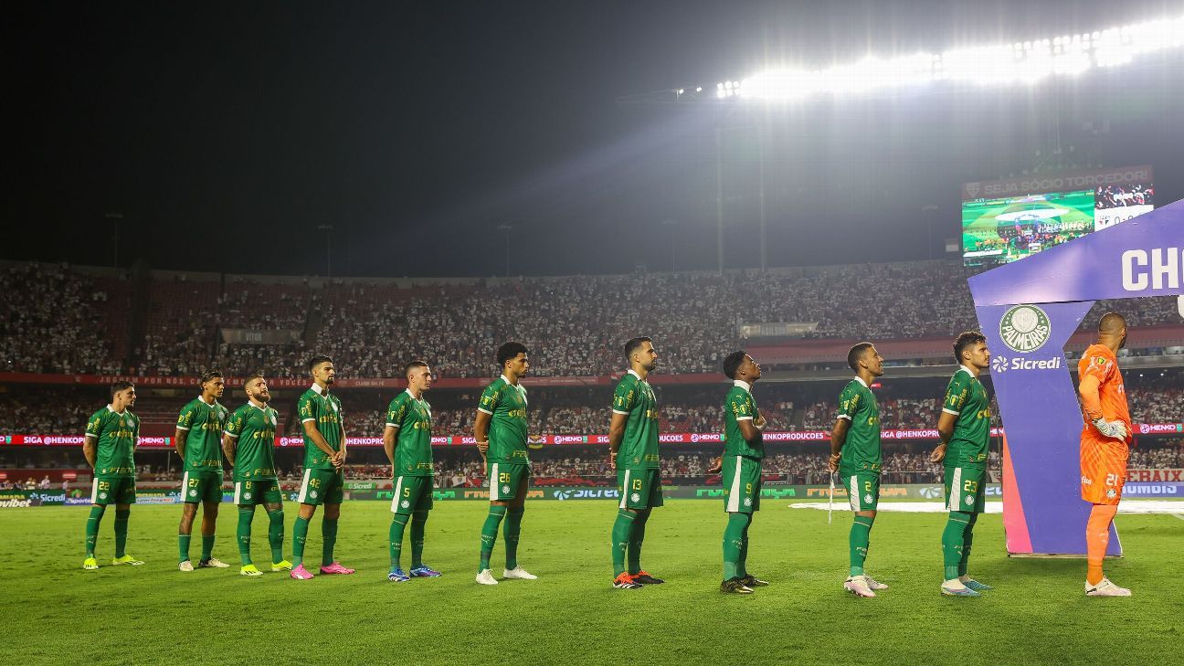 Palmeiras relata tratamento do São Paulo à FPF durante jogo no Morumbi