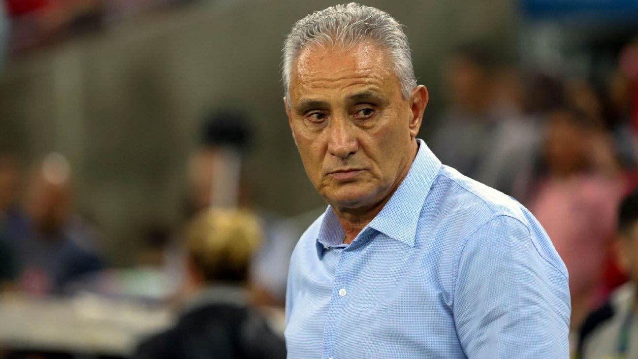 Expectativas de Tite para o Flamengo baseadas em comentários de Vítor Pereira.