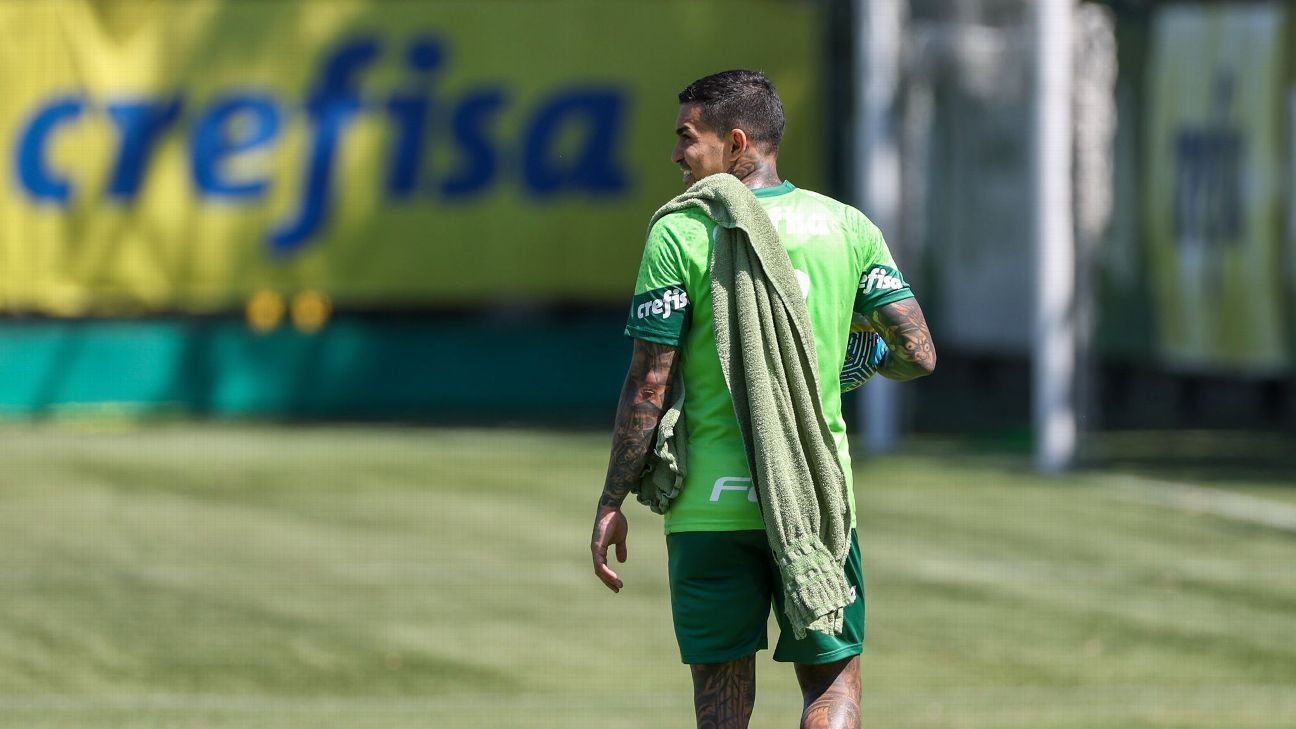 Dudu treina no Palmeiras e deve ficar à disposição de Abel , Bacia