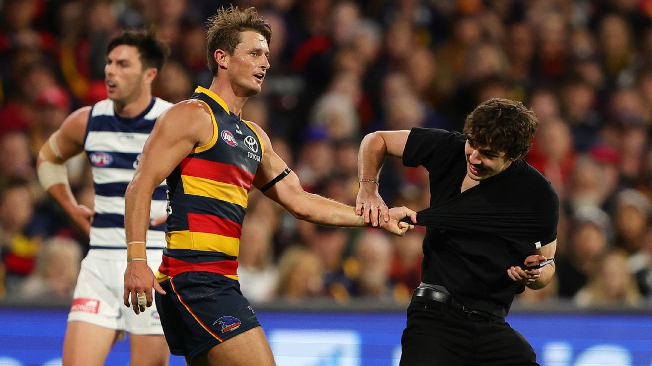 AFL: Adelaide, Geelong coaches slam 'dangerous' Adelaide Oval streaker ...