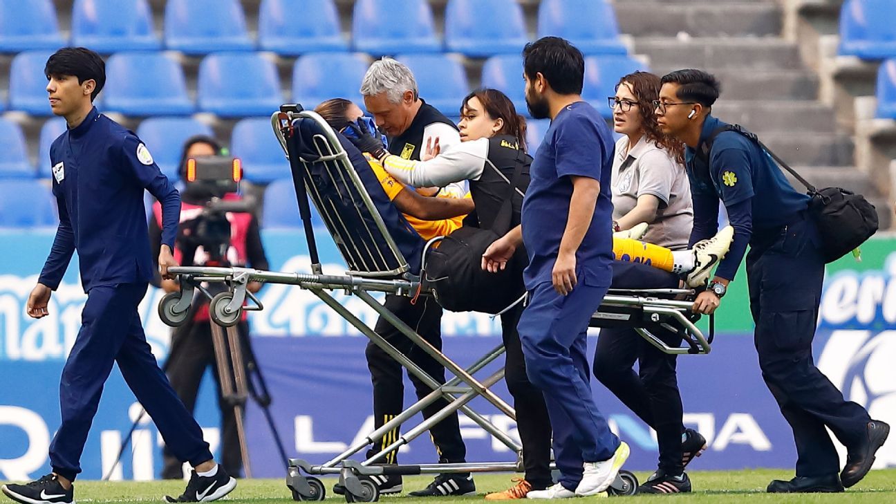 Manuel Jiménez Addresses Care Protocol for Injured Tigres Player – Full Coverage and Updates