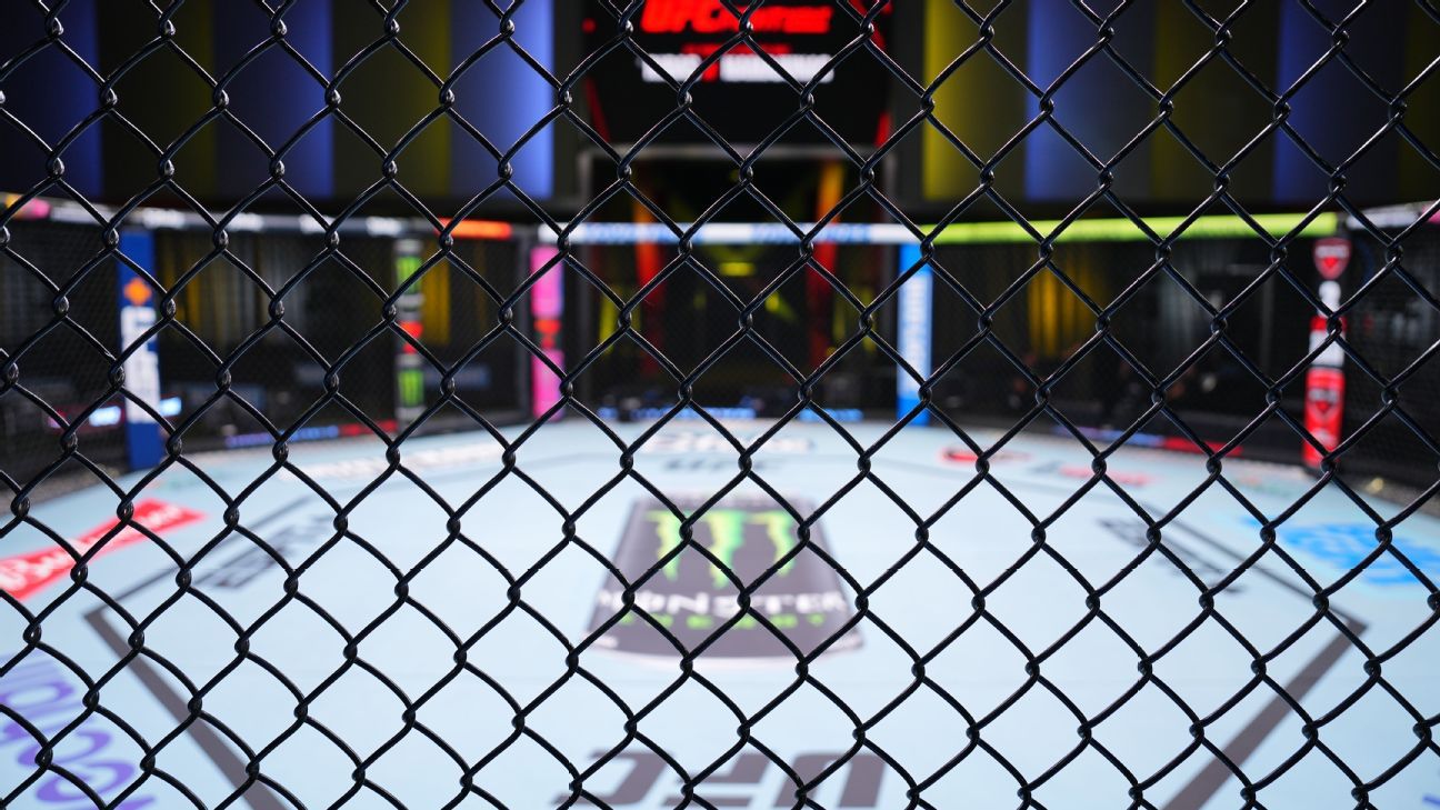 Acuerdo de 375 millones de dólares con UFC obtiene primera aprobación