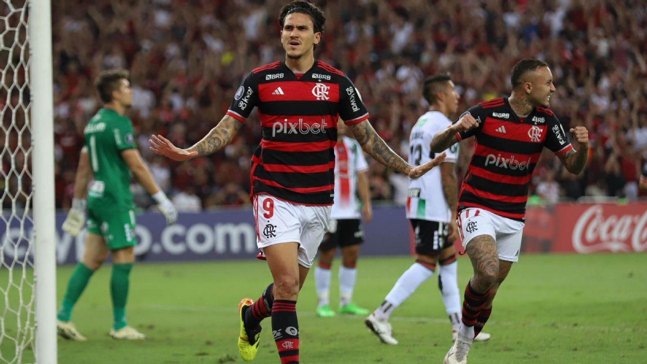 Abismo Financeiro Entre Flamengo e Palestino na Libertadores: Diferença Expressiva em Folha Salarial