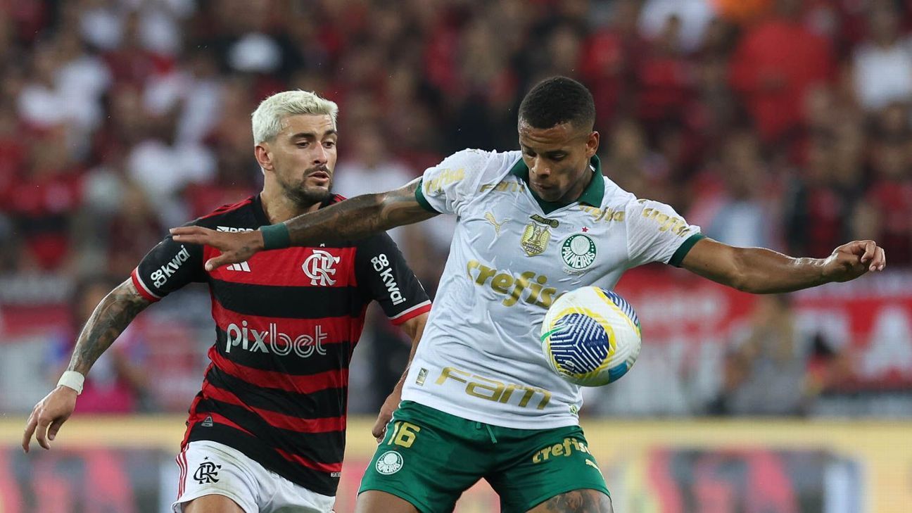 Disputa Acirrada: Flamengo e Palmeiras brigam por crescimento nas redes sociais.