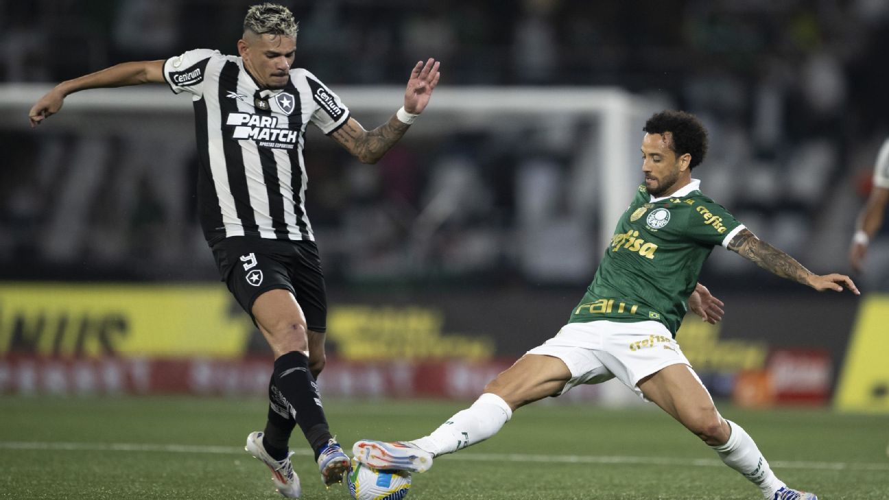 Palmeiras e Botafogo: Luis Fabiano prevê final inédita no Allianz em 2023