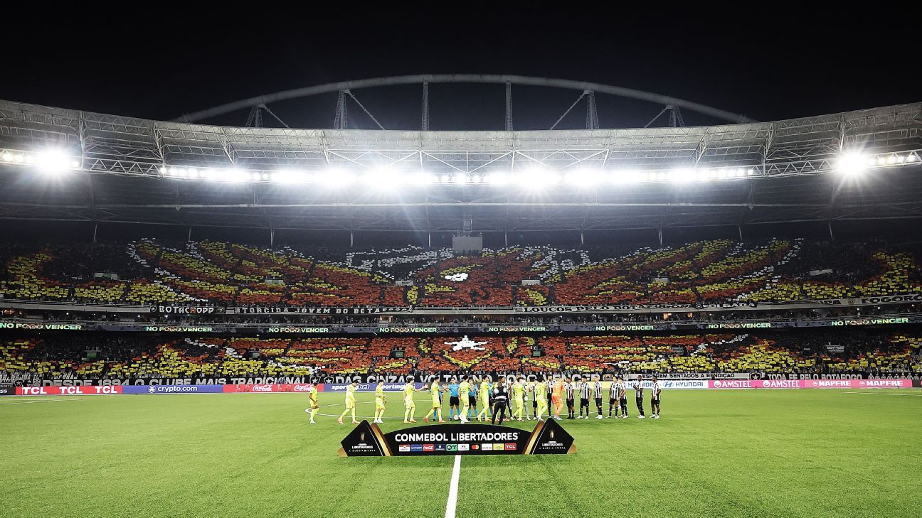 BANIDO! Botafogo pune torcedor por atos racistas contra a torcida do Palmeiras