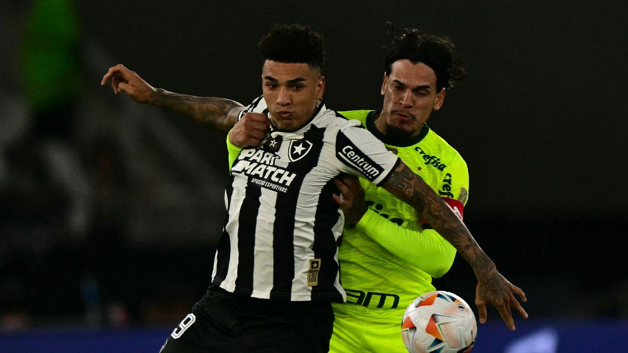 É HOJE: DECISÃO DO BRASILEIRO! Palmeiras x Botafogo: onde assistir
