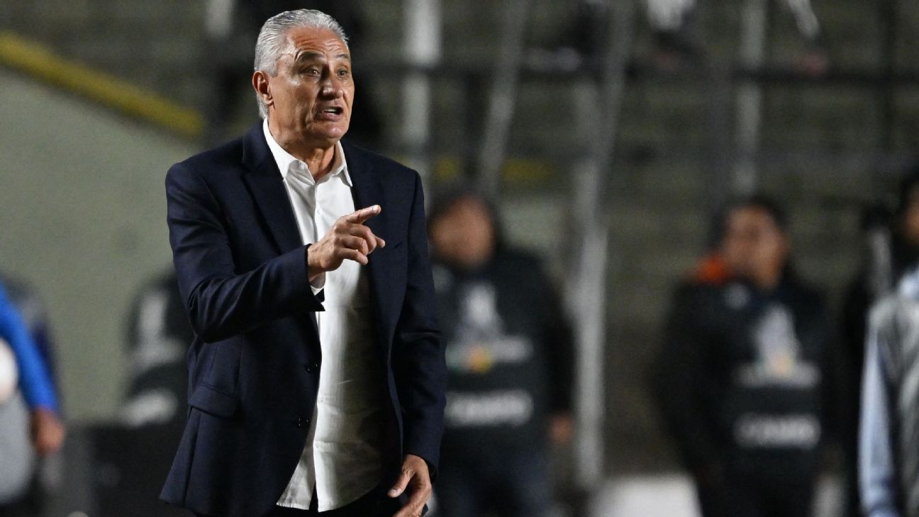 Tite desabafa sobre derrota do Botafogo e assume torcida pelo Flamengo