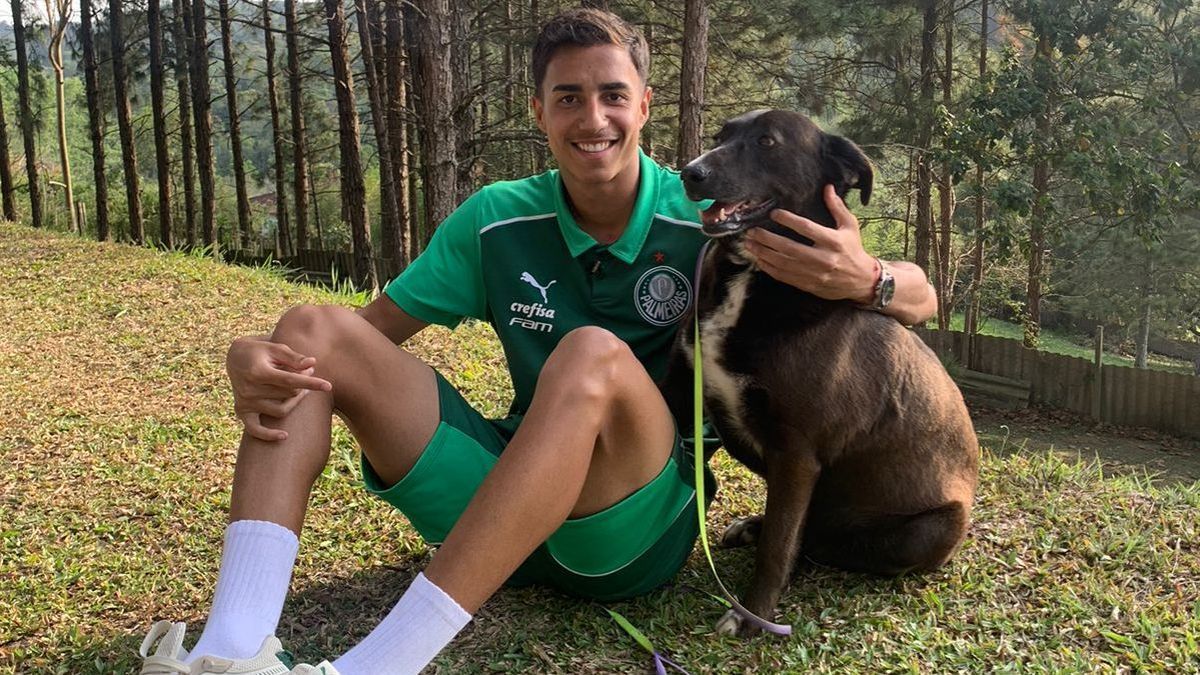 Joia do Palmeiras se torna embaixador de ONG de resgate animal.