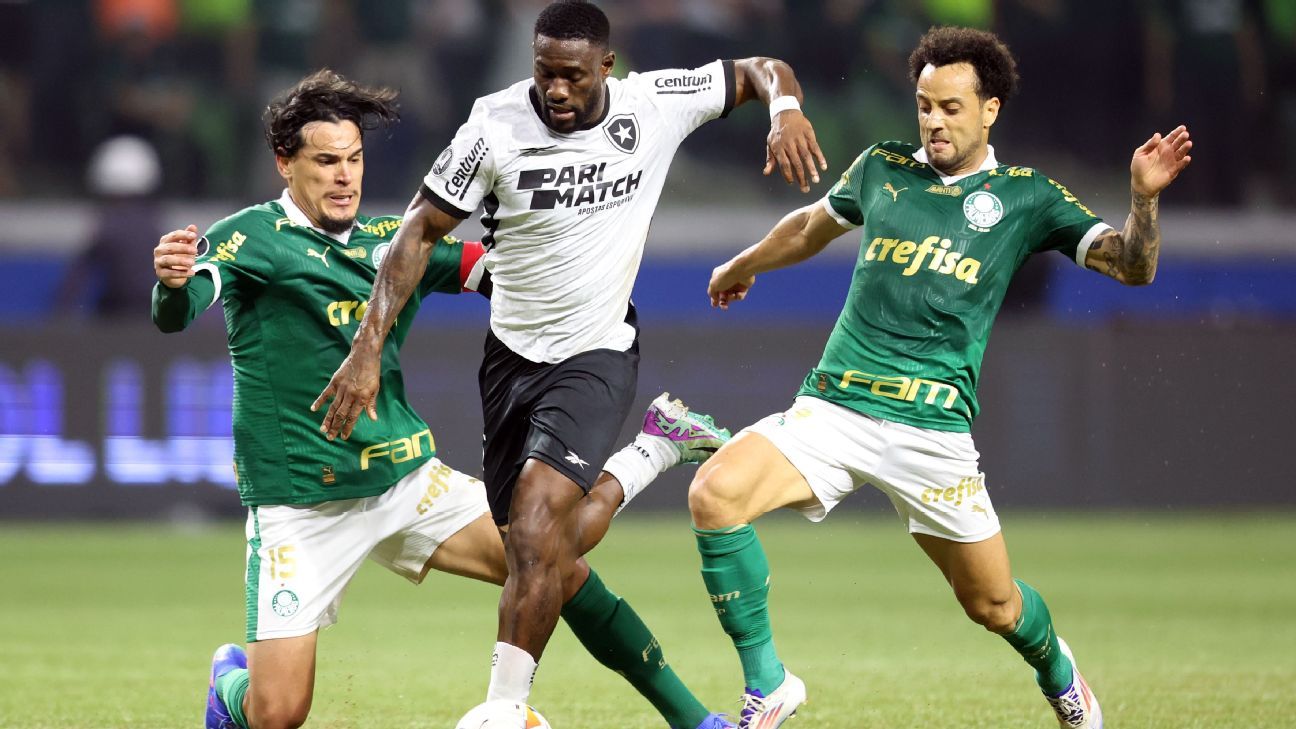 Palmeiras e Botafogo revelam escalações para decisão do Brasileirão; confira os times