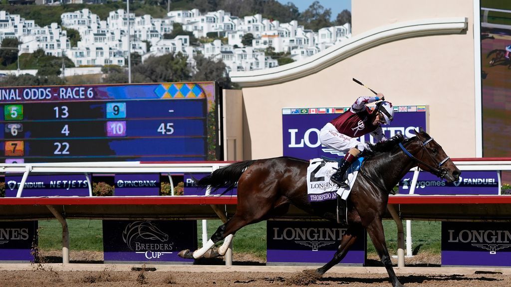 Thorpedo Anna wins M Breeders' Cup Distaff