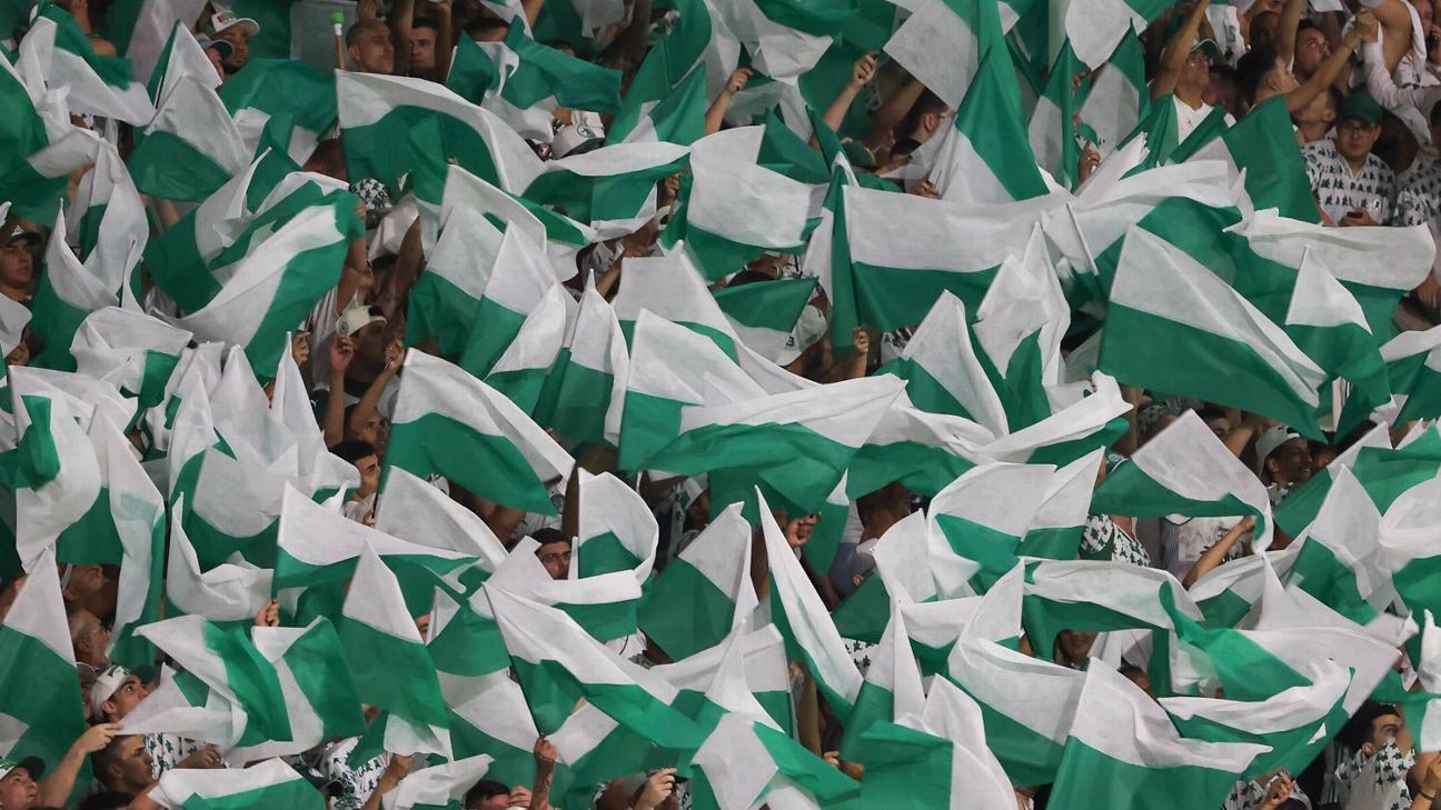 Protesto da Torcida do Palmeiras denuncia Descompromisso durante Partida contra o Grêmio