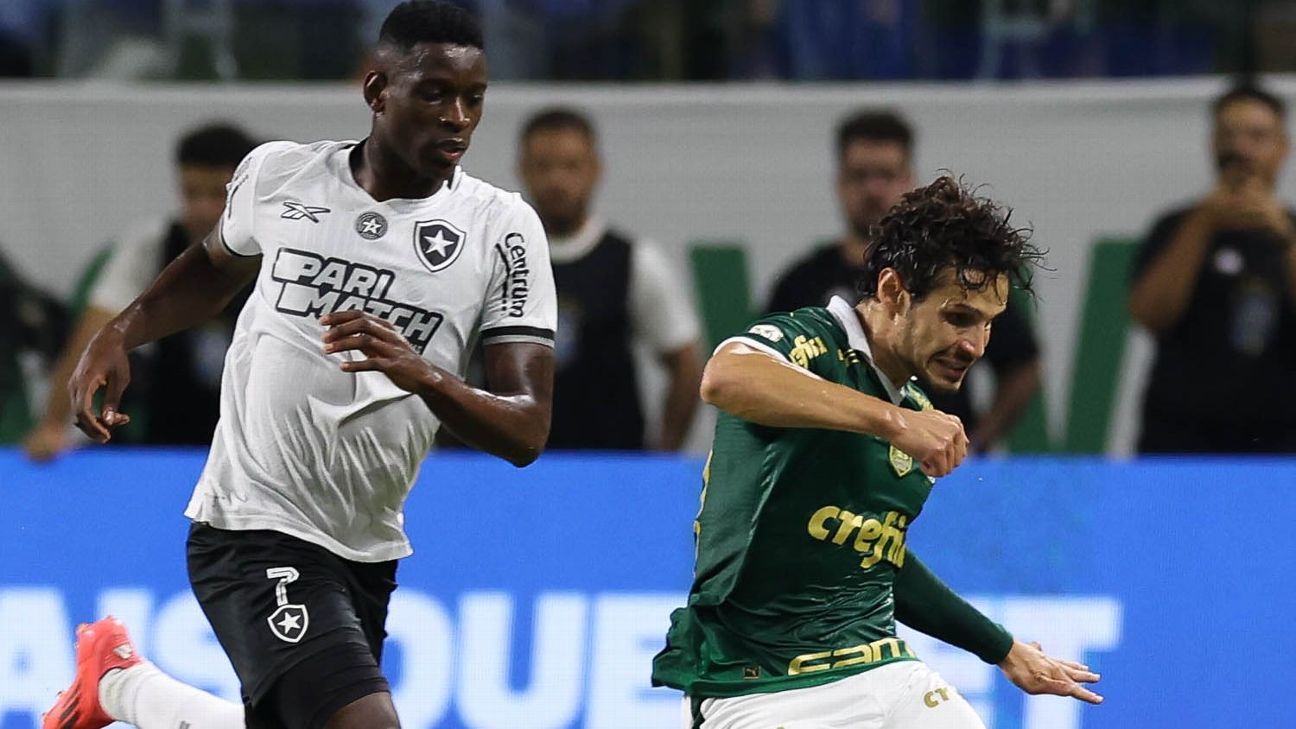 Palmeiras enfrenta Botafogo em busca de título inédito no Brasileirão de 2024