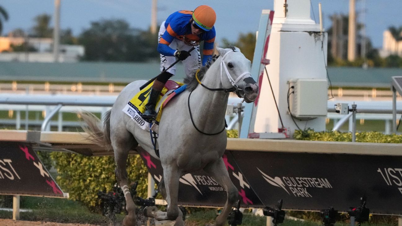 White Abarrio wins  million Pegasus World Cup