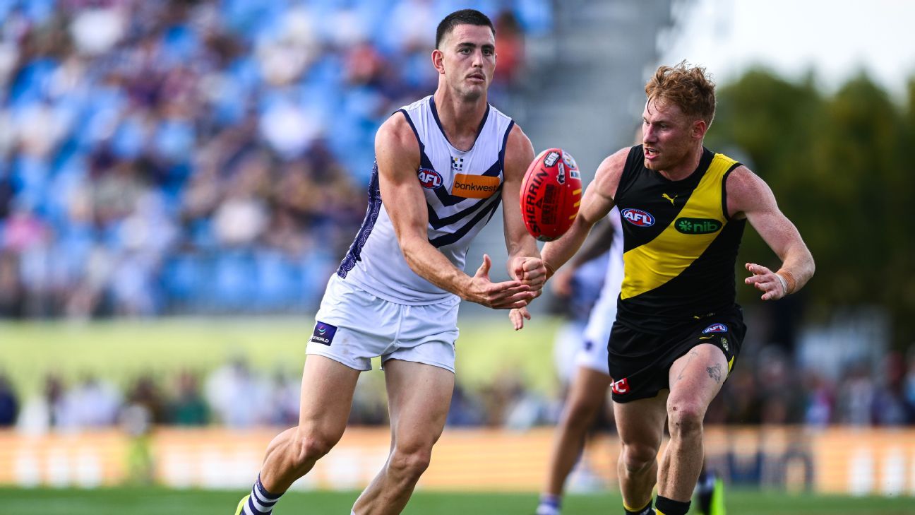 AFL Tribunal upholds Voss striking ban